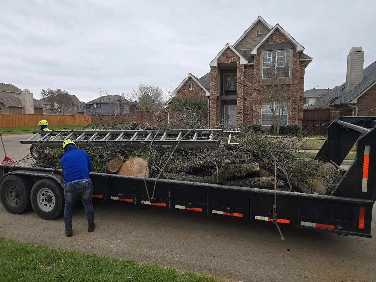 Expert Tree Fertilization with proper safety equipment in Fairdealing